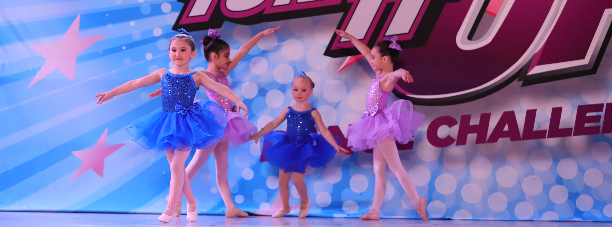 Annual Shows